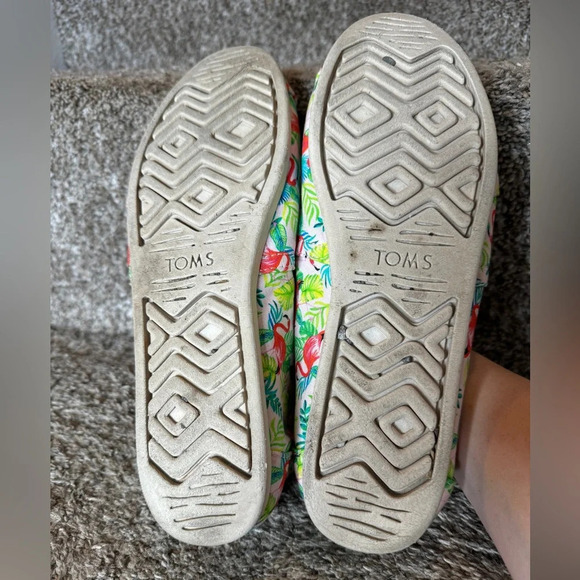 TOMS X Paper Source Limited Editon Flamingo Alpargata Canvas Slip On Shoes W11 - Picture 4 of 8